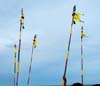 04 Lord Murugan`s spears