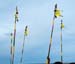 04 Lord Murugan`s spears