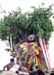 11 The fight of Simhamukha and Lord Murugan also ends with this manifestation of the demon being beheaded