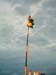 20 The cock, the Lord's banner-symbol, is fixed on Lord Murugan`s spear